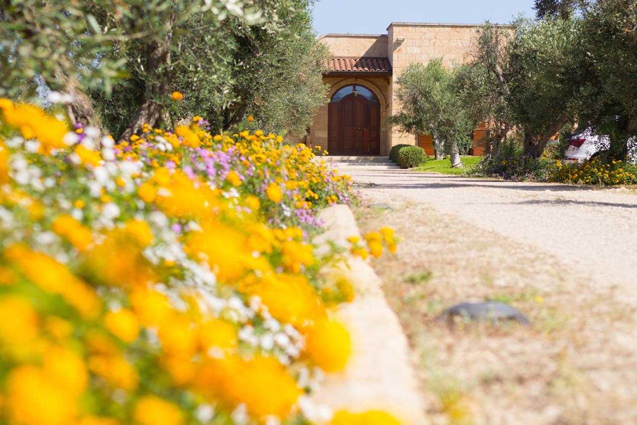 Biancolivo Gallipoli In Salento Екстериор снимка